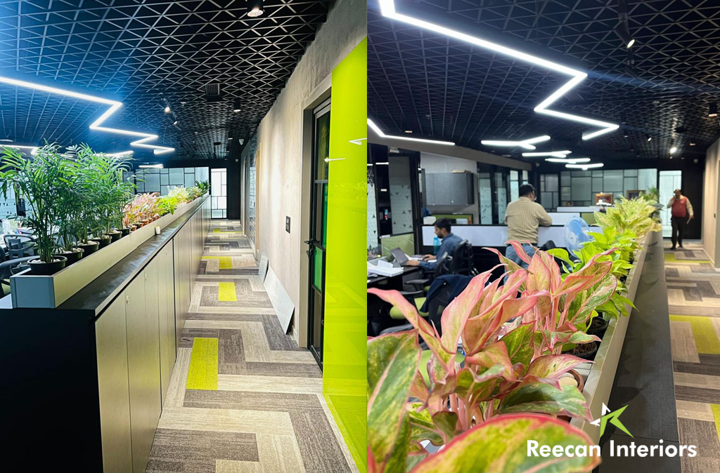 Office interior in gurgaon - Reecan Interiors